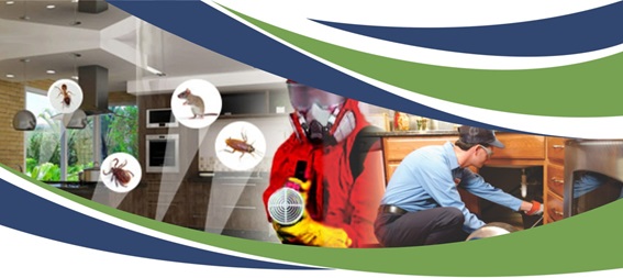 Desentupidora e dedetizadora em Biritiba Mirim