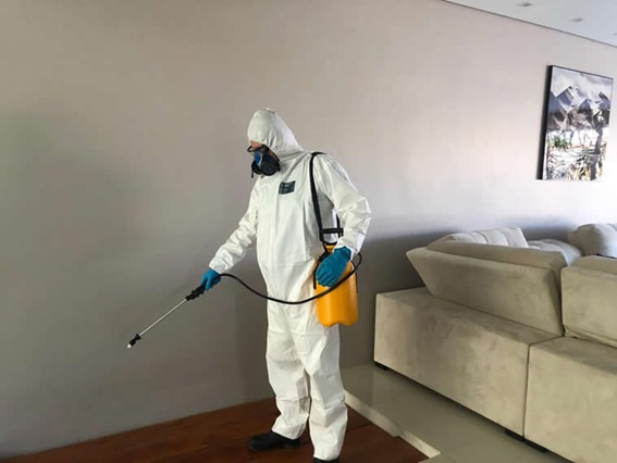 Dedetização de insetos em Biritiba Mirim