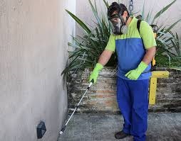 Descupinizadora em Biritiba Mirim